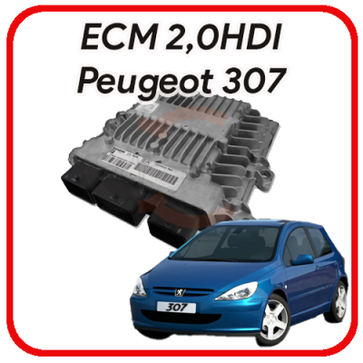 Centr. Mot. Peugeot 307 2.0 HDI siemens sid 801A