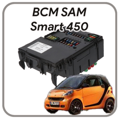 SAM Smart Fortwo 450 (1999-2007) revisione Body Computer