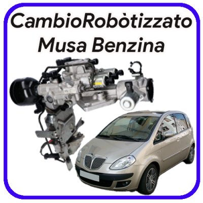 robot per cambio robotizzato Lancia Musa SeleSpeed DuaLogic C514