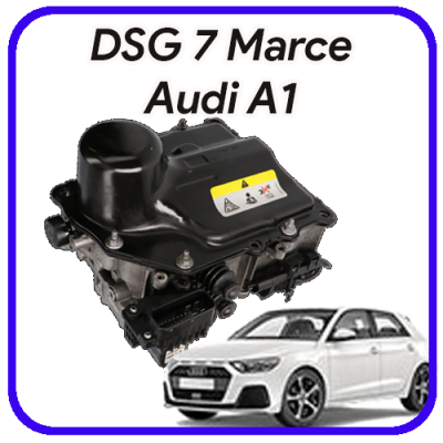 Meccatronica  DSG 7 marce Audi A1 Revisione e servizi
