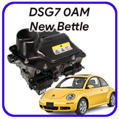 Meccatronica  DSG 7 marce  0AM New Bettle Revisione e servizi