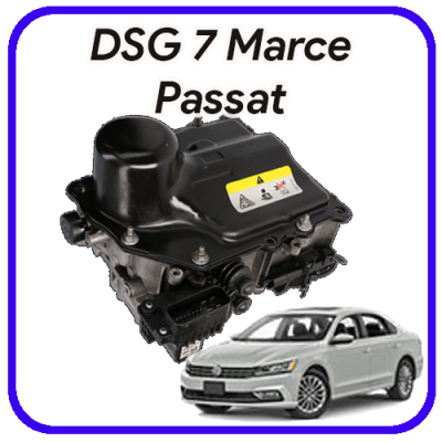 Meccatronica  DSG 7 marce Passat Revisione e servizi