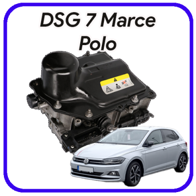 Meccatronica  DSG 7 marce Polo Revisione e servizi