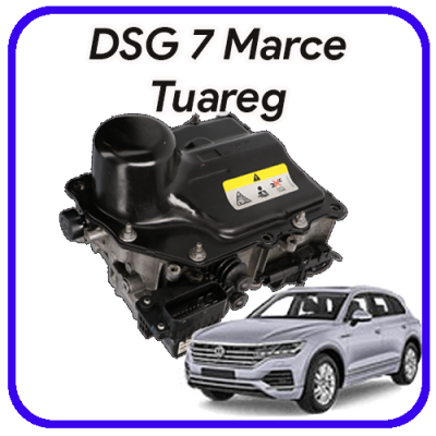 Meccatronica  DSG 7 marce Tuareg Revisione e servizi
