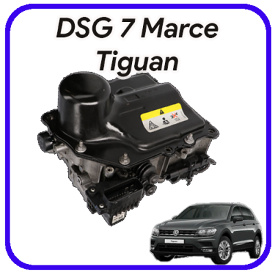 Meccatronica  DSG 7 marce Tiguan Revisione e servizi