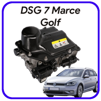 Meccatronica  DSG 7 marce Golf Revisione e servizi