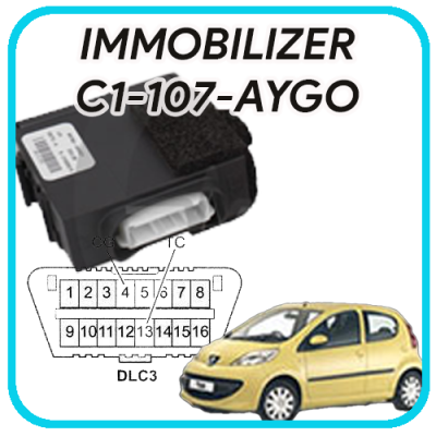 Scatola Immo Citroen C1 Revisione e Verginatura