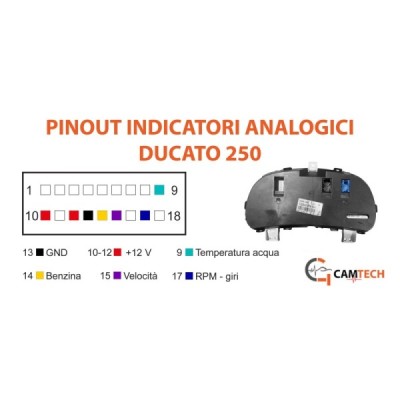 Pinout indicatori analogici Fiat Ducato 250